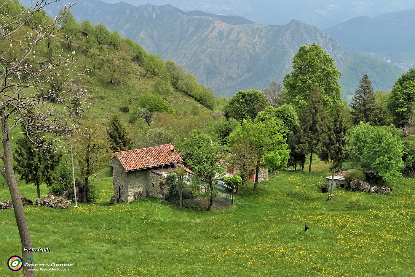 65 Bella cascina nelle conca prativa  tra lo Zucco e i 'Foppi'.JPG